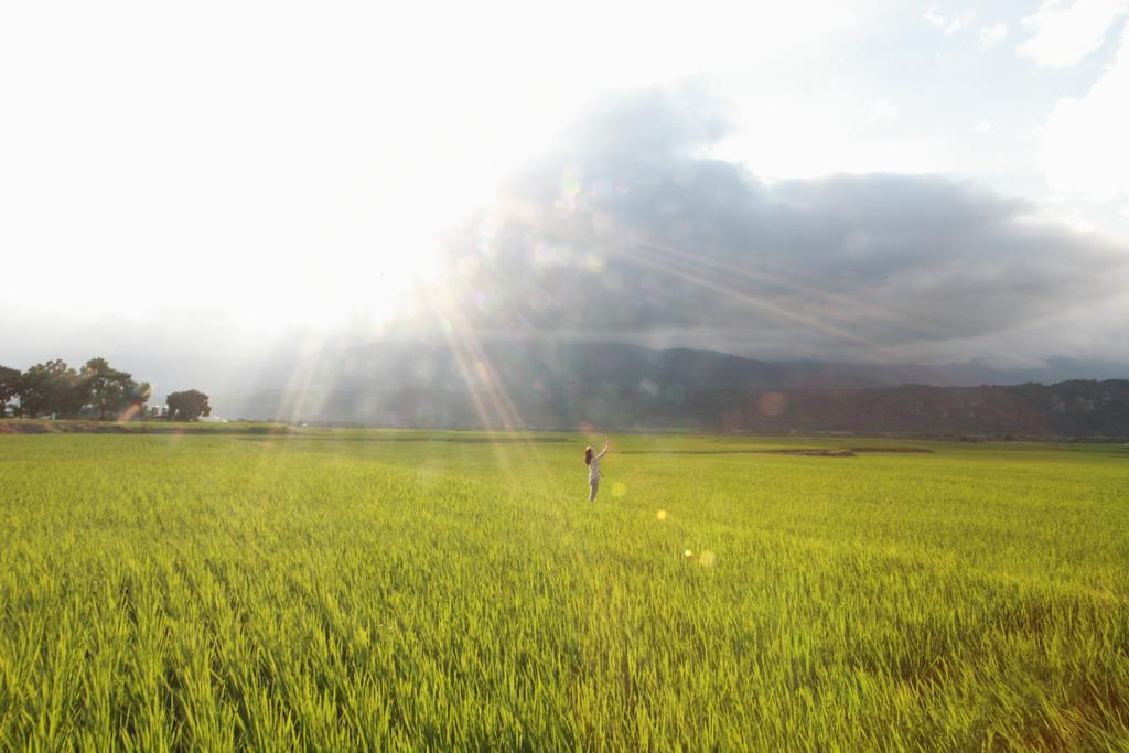 Yuli Happiness B&B エクステリア 写真